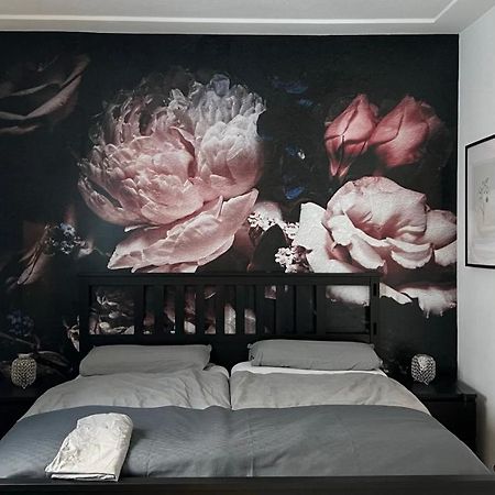 Designerwohnung Afrika Sehr Zentral Gelegen هانوفر المظهر الخارجي الصورة