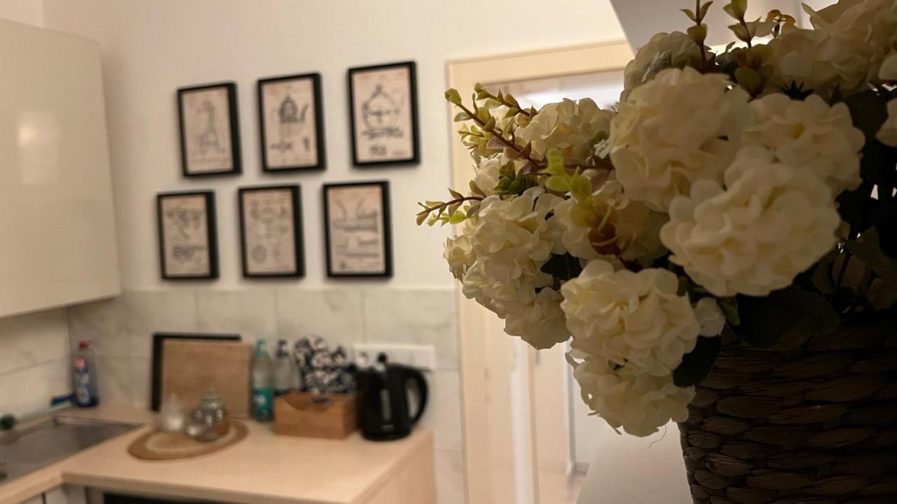 Designerwohnung Afrika Sehr Zentral Gelegen هانوفر المظهر الخارجي الصورة